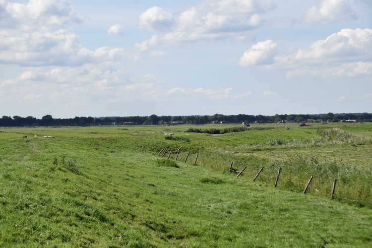 De zomerdijk is in de noordpolder te Veld nog duidelijk zichtbaar in het landschap